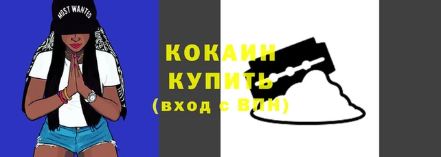 дурь Покровск