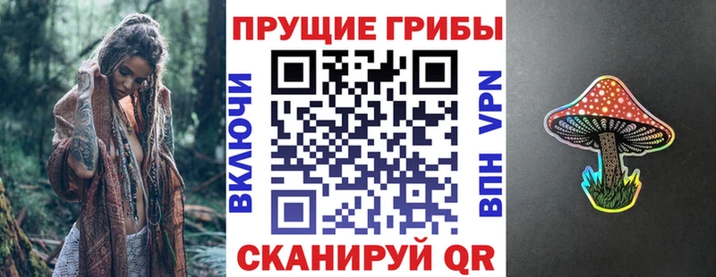 hydra сайт  Чита  Галлюциногенные грибы Cubensis 