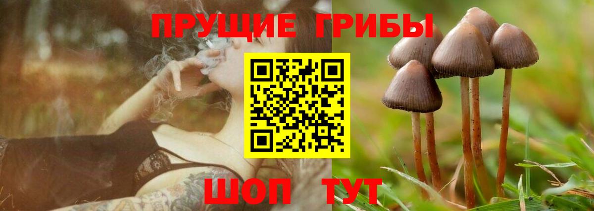 Псилоцибиновые грибы мухоморы  Вход с VPN  Чита  Псилоцибиновые грибы MAGIC MUSHROOMS 